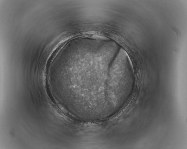 X0000112770290200909101557