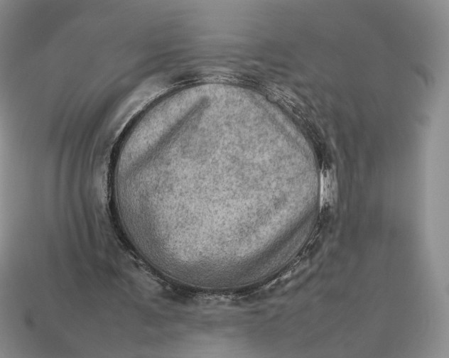 X0000112770291200909101557