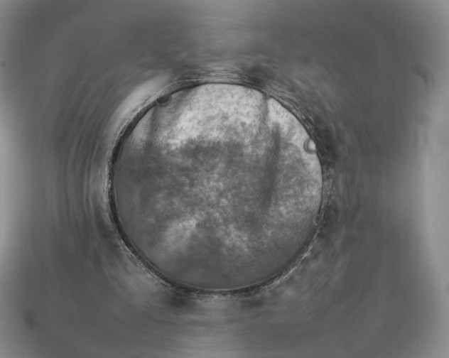 X0000112770293200909101557