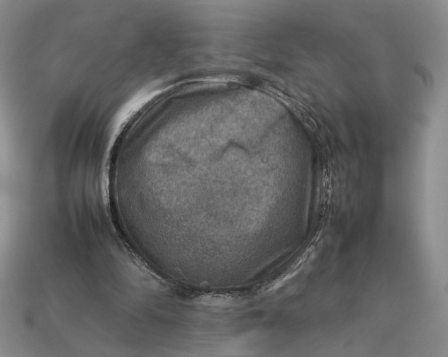 X0000112770294200909101557