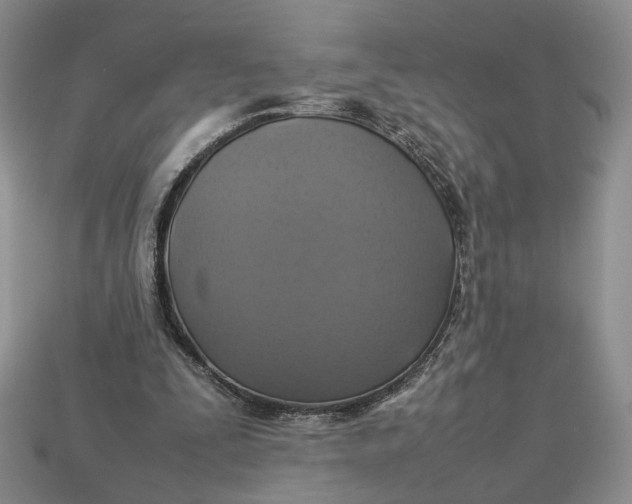 X0000112770295200909101557