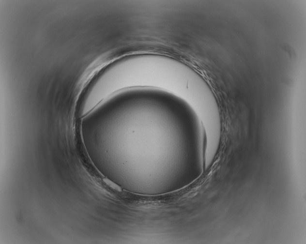 X0000112770296200909101557