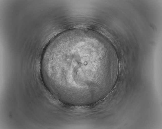 X0000112770297200909101557