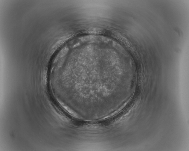 X0000112770299200909101557