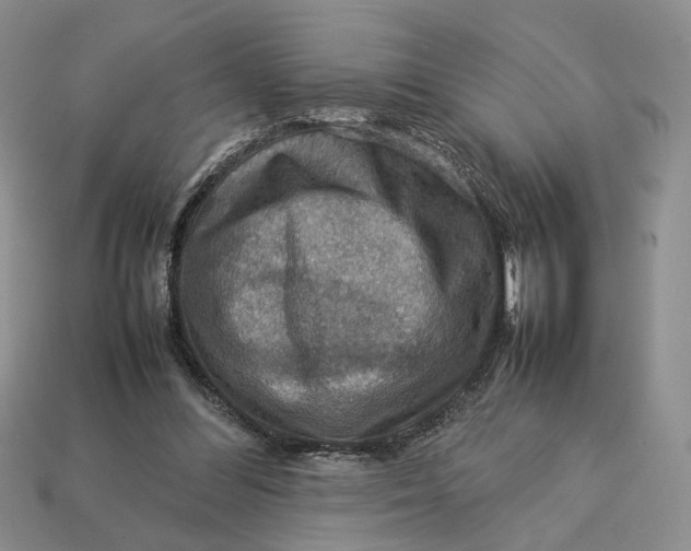 X0000112770300200909101557