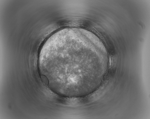 X0000112770301200909101557