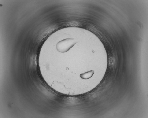 X0000112770302200909101557