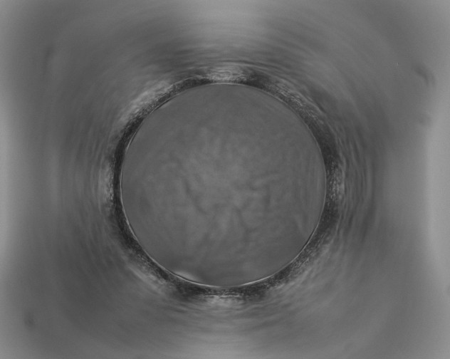 X0000112770303200909101557