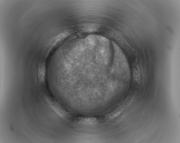 X0000112770304200909101556