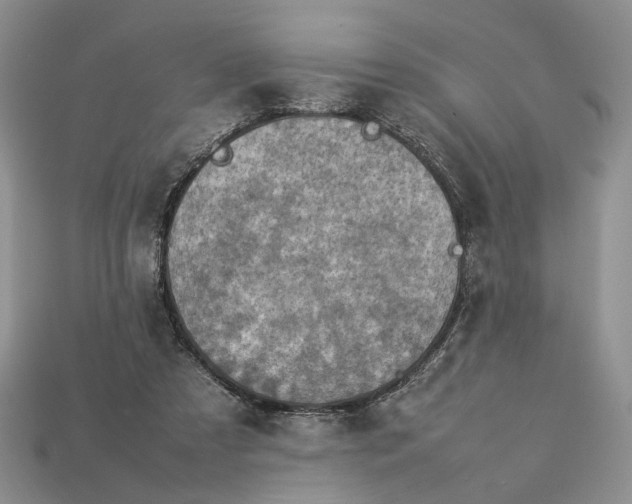 X0000112770305200909101556