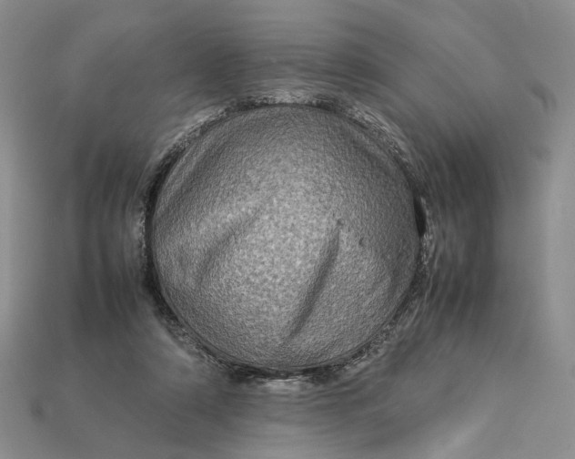 X0000112770306200909101556