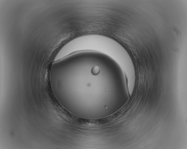 X0000112770308200909101556