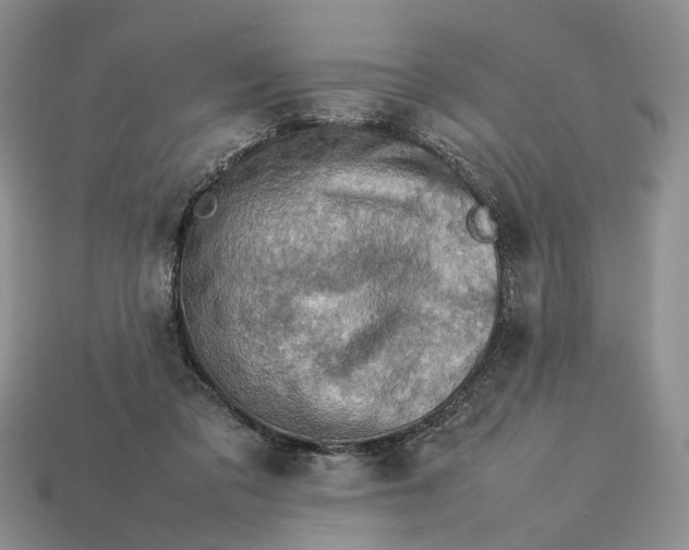 X0000112770309200909101556