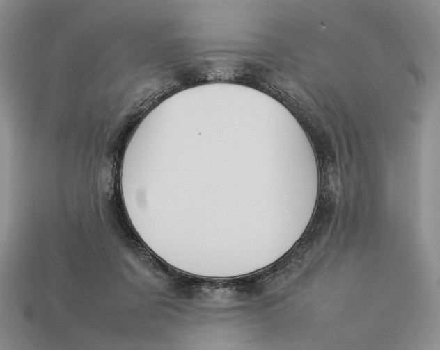 X0000112770311200909101556