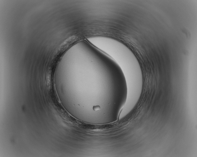 X0000112770312200909101556