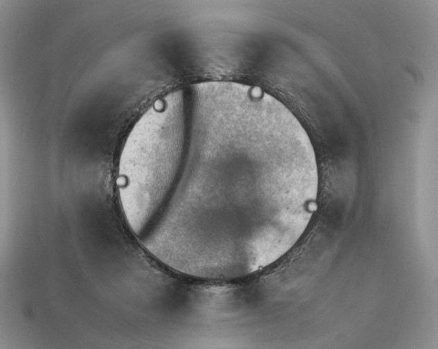 X0000112770313200909101556