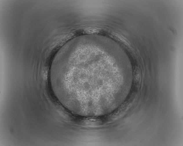 X0000112770315200909101556