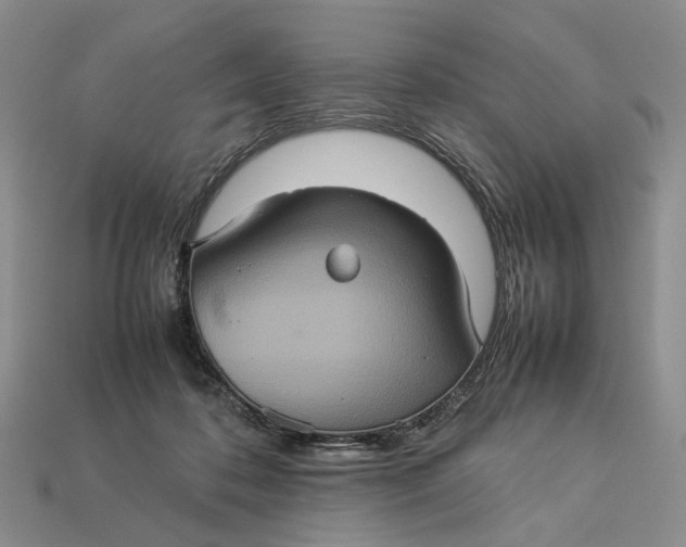 X0000112770316200909101556