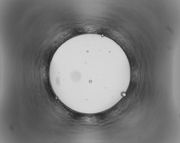 X0000112770317200909101556