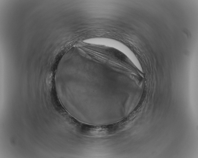 X0000112770319200909101556