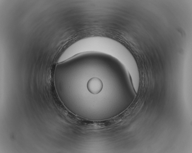 X0000112770320200909101556