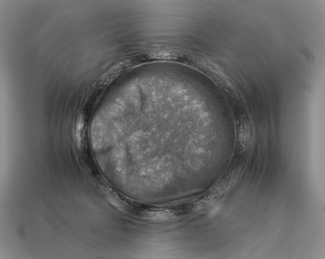 X0000112770322200909101556