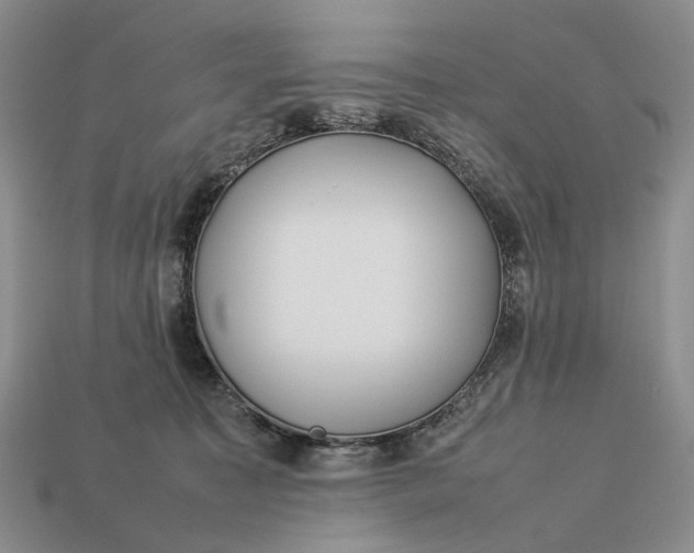 X0000112770323200909101556