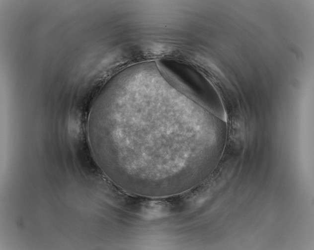 X0000112770324200909101556