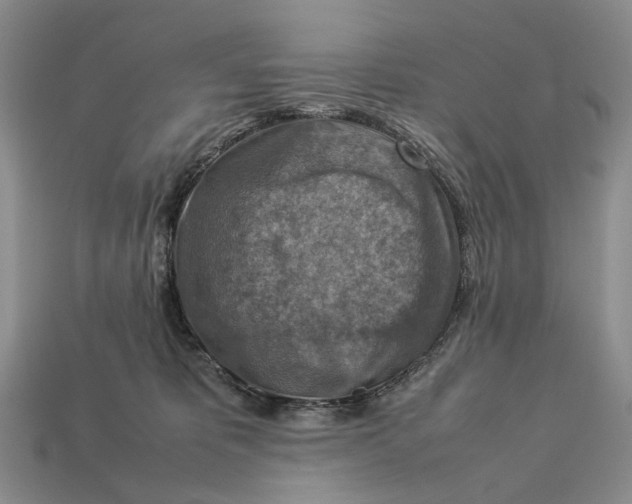 X0000112770325200909101556