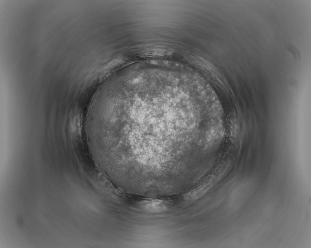 X0000112770326200909101556