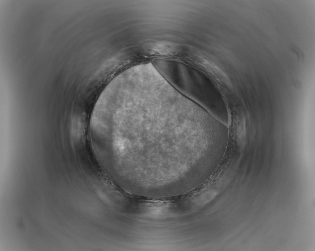 X0000112770328200909101556