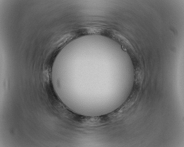 X0000112770329200909101556