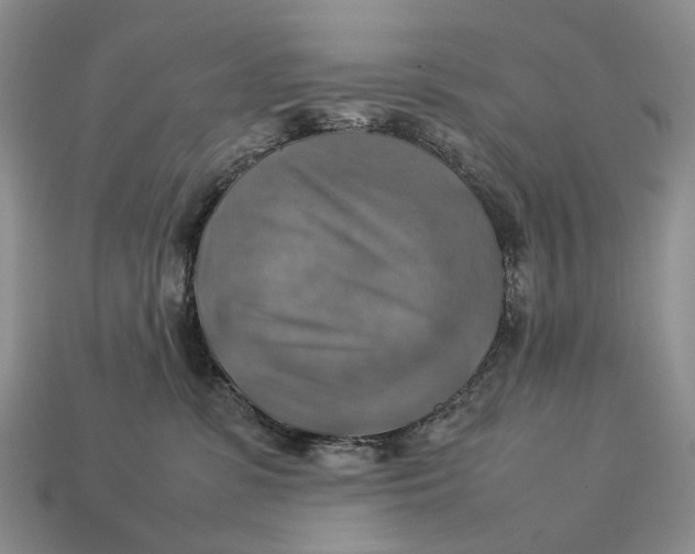 X0000112770331200909101556