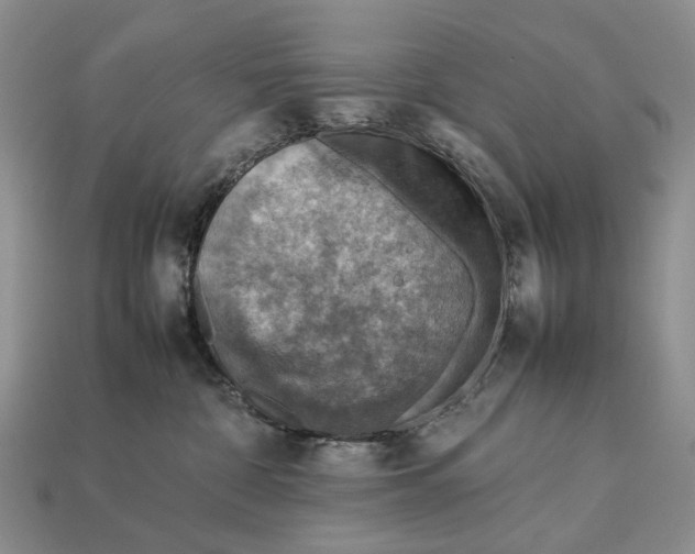 X0000112770332200909101556