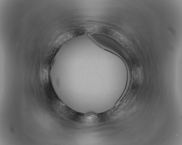 X0000112770333200909101556