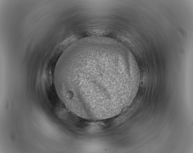 X0000112770334200909101556