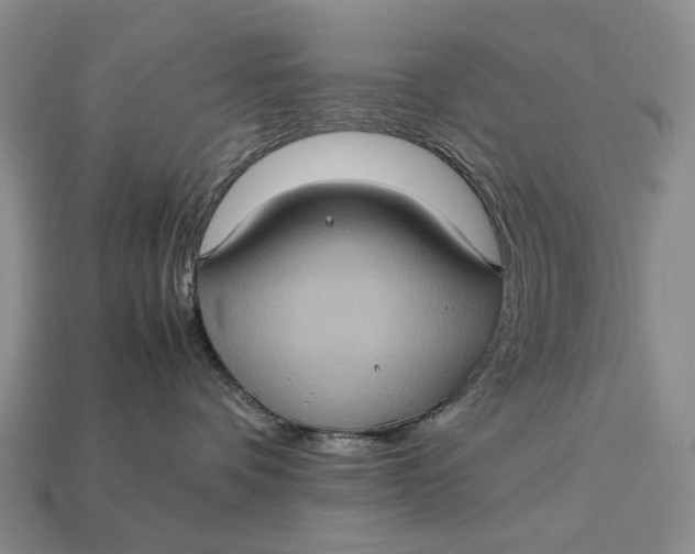 X0000112770336200909101556