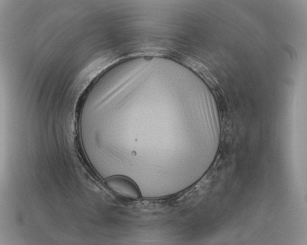 X0000112770338200909101555