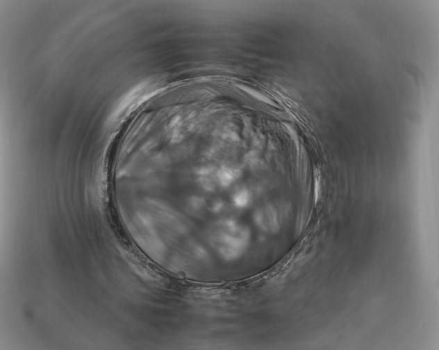 X0000112770339200909101555