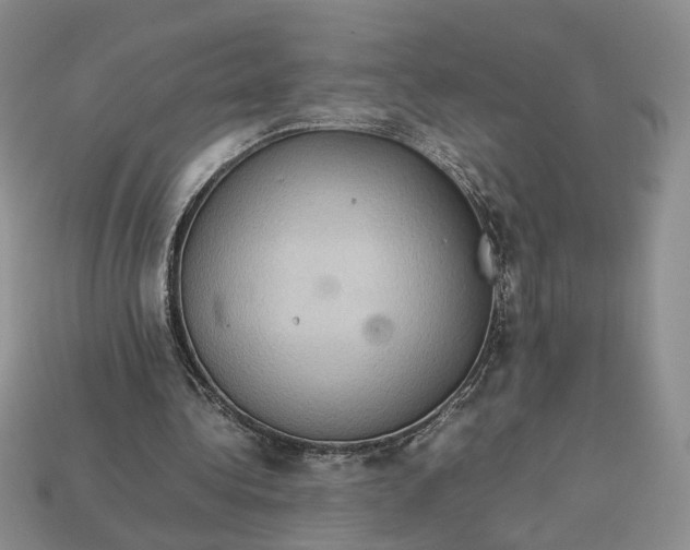 X0000112770340200909101556