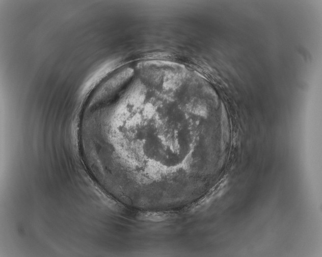 X0000112770341200909101556