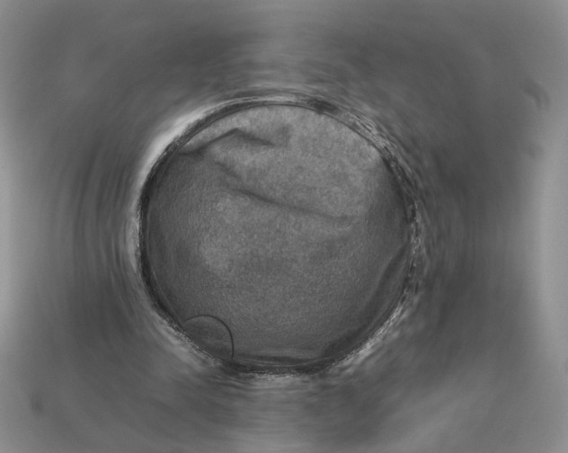 X0000112770342200909101556