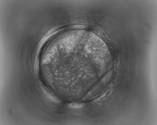 X0000112770343200909101556