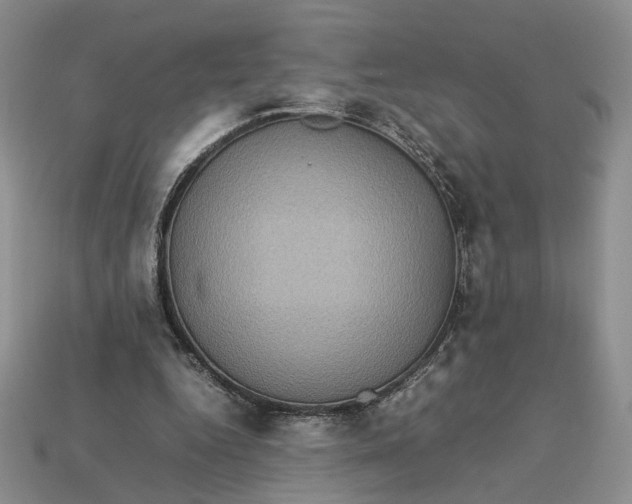 X0000112770344200909101556