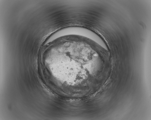 X0000112770345200909101556