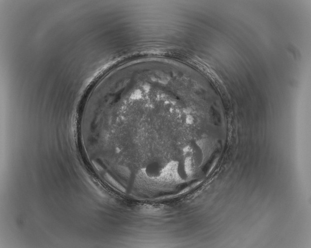 X0000112770346200909101556