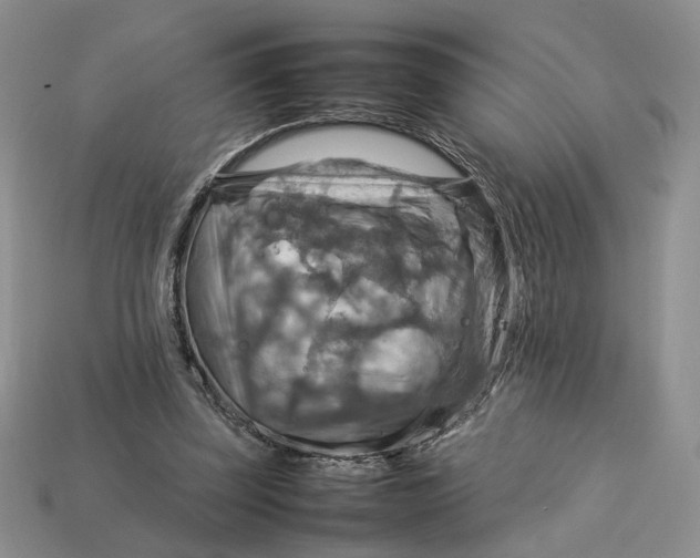 X0000112770347200909101556