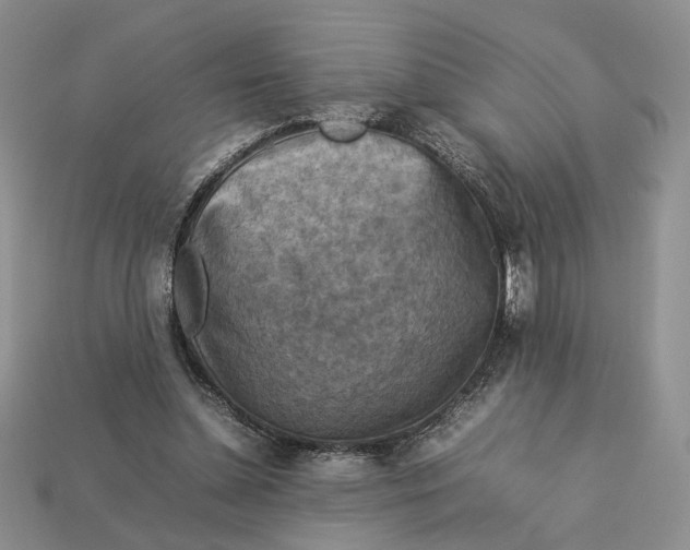 X0000112770348200909101556