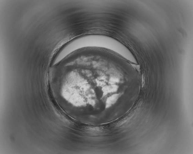 X0000112770349200909101556