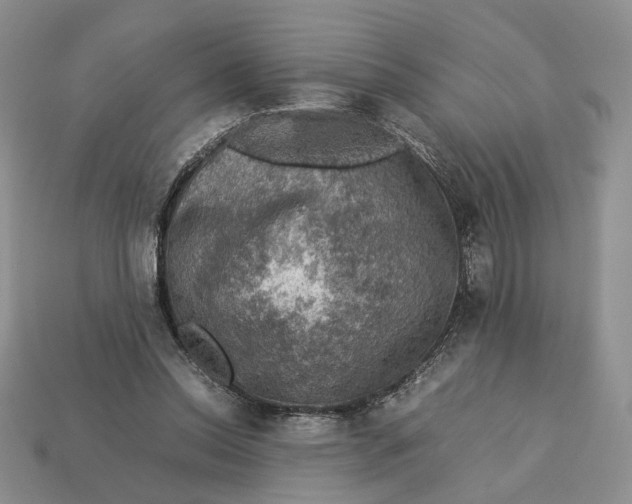 X0000112770350200909101556